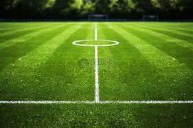 苏丹军机事,故导致,人丧生,球探体育,球探直播,球探体育赛事,球探直播,球探官网