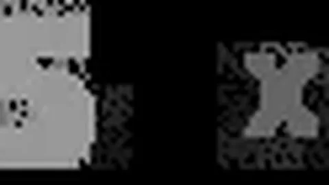 阿尔瓦雷斯感人述说：重温千遍，情感不减。