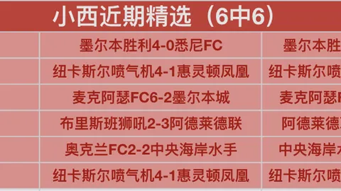 邹城体育中心青春对决：山东泰山B队与湖北青年星平分秋色