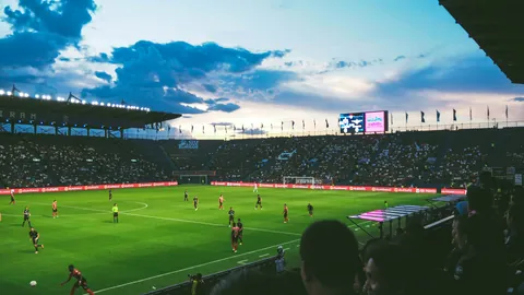 奈梅亨主场分析：专家预测能否首胜