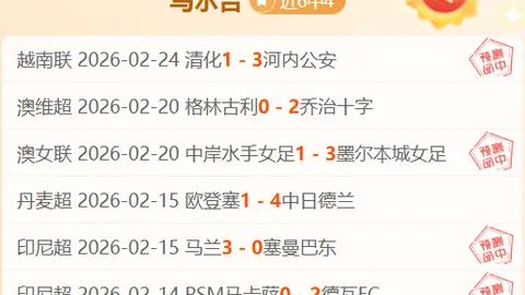 大乐透期号专家质合分析：流浪者主场实力对比预测