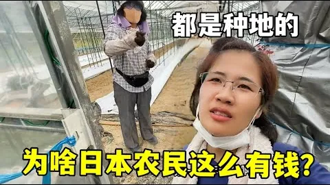 周日023葡超前瞻：里斯本对阵本菲卡专家推荐